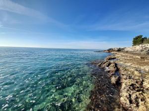 Ảnh trong thư viện ảnh của Apartmani Monte ở Pula