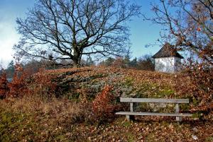 Zahrada ubytování Gasthof und Pension Haunschmid