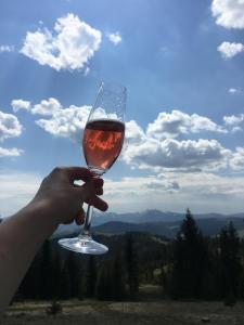 a person holding up a glass of wine at Terem in Slavske