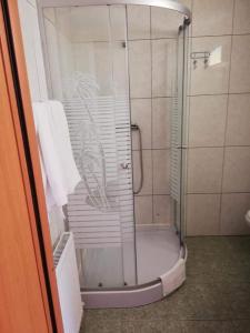 a shower with a glass door in a bathroom at Hotel Premier in Predeal