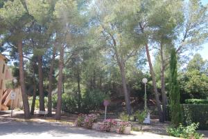 Vonkajšia záhrada v ubytovaní Guardamar playa