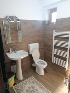 a bathroom with a toilet and a sink at Pensiunea Perla Maramuresului in Borşa +125 photos