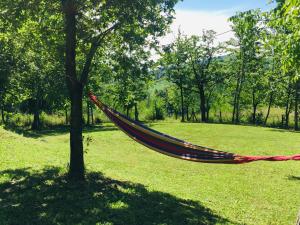 a hammock hanging from a tree in a field at B&B I Falchi Pellegrini in Monzuno