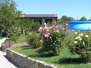 a garden with flowers and a pool in the background at Cascina Curairone in Bossolasco