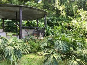 Giardino di Arenal Roca Suites