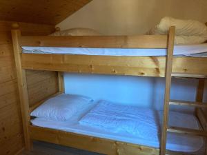 Wilderer Alm Chalet Katschberg tesisinde bir ranza yatağı veya ranza yatakları