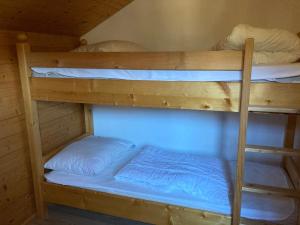 Posteľ alebo postele v izbe v ubytovaní Wilderer Alm Chalet Katschberg