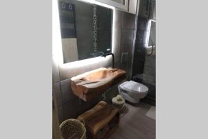uma casa de banho com um lavatório e um WC em Chaleureux petit appartement de 4 couchages em Saint-Étienne-de-Tinée
