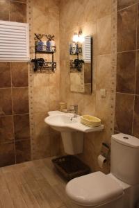 a bathroom with a sink and a toilet at Losta Sahil Evi 2 in Selimiye