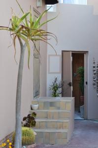 una scala con una palma di fronte a un edificio di Khoinonia Guesthouse a Port Nolloth Altre 6 foto