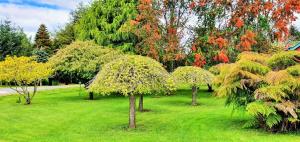 Gallery image of Hotel y Cabañas Molino Viejo in Puerto Varas