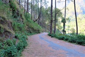 Naturlandskabet i nærheden af den private indkvartering