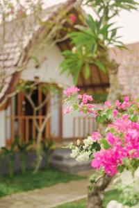 kaje cottage & restaurant外面的花园