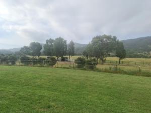 a field with a fence and trees in the distance at Valley View Motel in Murrurundi