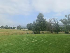 un gran campo de hierba con un árbol a lo lejos en Valley View Motel, en Murrurundi