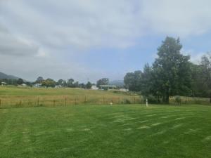 a large grass field with a tree in the distance at Valley View Motel in Murrurundi