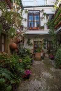 コルドバにあるLa Sultana Apartamentosの植物と窓のある建物の中庭
