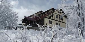 Funky Monkey Lodge, Myoko ファンキーモンキーロッジ 妙高 v zimě