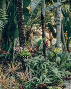 un jardin avec de nombreuses plantes et palmiers dans l'établissement River CoCo @ Amphawa, à Samut Songkhram