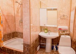 a bathroom with a sink and a shower and a toilet at Dekabrist Apartment on Proezzhaya 25 in Chita