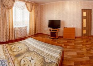 a living room with a bed and a television at Dekabrist Apartment on Proezzhaya 25 in Chita