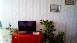 - une télévision assise au-dessus d'une commode rouge dans l'établissement Apartment on Prospekt Peremogi, à Tchernihiv