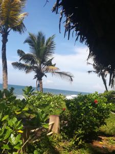 a view of a beach with palm trees and the ocean at Sukriti beach Resort in Varkala