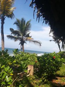 vista su una spiaggia con palme e sull'oceano di Sukriti beach Resort a Varkala