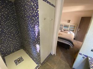 Cette chambre comprend un lit et une salle de bains pourvue d'une douche. dans l'établissement Lavandaline, à Entrecasteaux