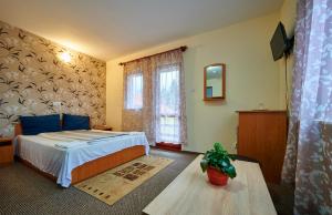 a hotel room with a bed and a window at Pensiunea Panorama Elcomex in Băile Tuşnad