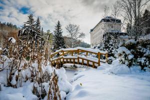 Obiekt Hotel Radium Palace zimą