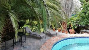 a patio with chairs and a pool and palm trees at Saxe-Coburg Lodge in Prince Albert