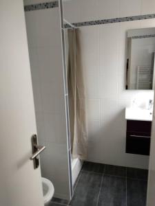 W łazience znajduje się prysznic, toaleta i umywalka. w obiekcie CMG Porte de Châtillon Malakoff II w mieście Malakoff