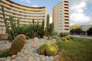 een tuin van cactussen en planten voor een gebouw bij Appart-Hôtel Mer & Golf City Perpignan Centre in Perpignan