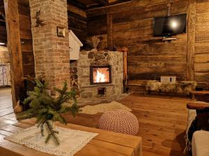 a living room with a fireplace and a tv at Naša mala koliba in Vojnić