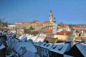 a view of a city with snow covered roofs at Latrán 43 apartments in Český Krumlov