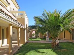 una palmera en un patio al lado de un edificio en Apartment Il Felciaione-8 by Interhome, en Riparbella