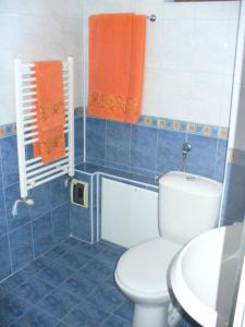 Gallery image of Guest House Alfa Daniel in Balkanets