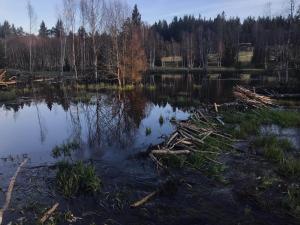 Príroda v okolí privátu
