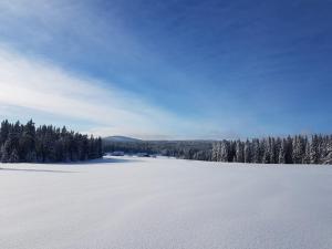 Príroda v okolí privátu