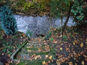 un ruisseau d'eau avec des feuilles au sol dans l'établissement Gästehaus 22 - Appartementhaus, à Baden-Baden