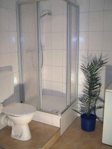a bathroom with a shower and a toilet and a plant at Ferienhaus Alicia in Hilders