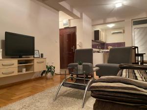 a living room with two chairs and a television at MS APARTMENTS in Kragujevac