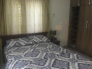 1 dormitorio con 1 cama con edredón en 1 Bedroom Apartment in a Prime area, en Accra