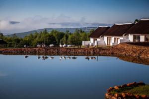 a group of ducks swimming in a pond next to houses at Steynshoop self-catering Valley Lodge in Hekpoort