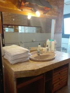 a bathroom counter with a sink and a mirror at Holidays Domus Iano in Esparraguera