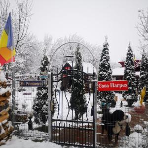 ein Tor zu einem schneebedeckten Garten in der Unterkunft Casa Harpes in Plavăţu