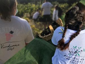 Os clientes hospedados em Villa Silene