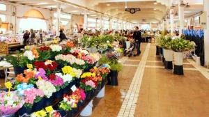 una tienda llena de muchos tipos diferentes de flores en Appartement d'une chambre a Cannes a 300 m de la plage avec vue sur la ville balcon et wifi en Cannes