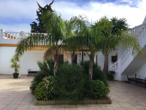Vonkajšia záhrada v ubytovaní Spacious Villa in Conil de Frontera with Private Pool